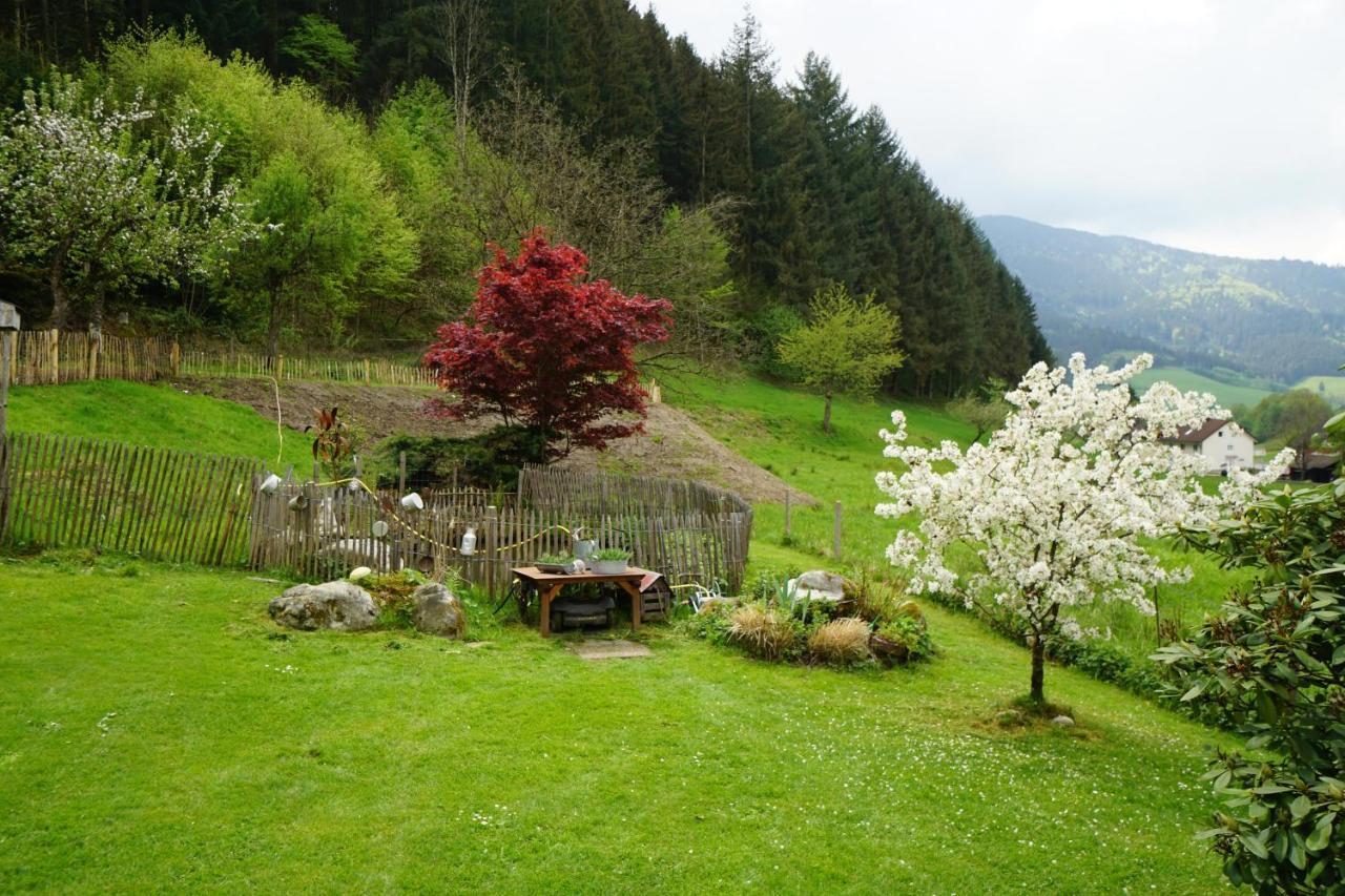 Hoellkopf - Stubenhof, Black Forest Simonswald Dış mekan fotoğraf