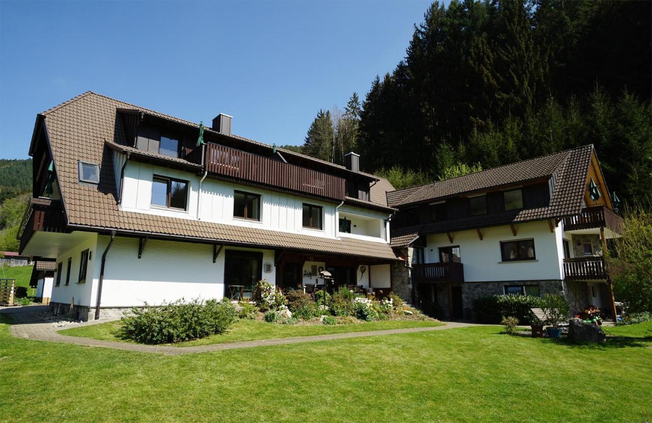 Hoellkopf - Stubenhof, Black Forest Simonswald Dış mekan fotoğraf