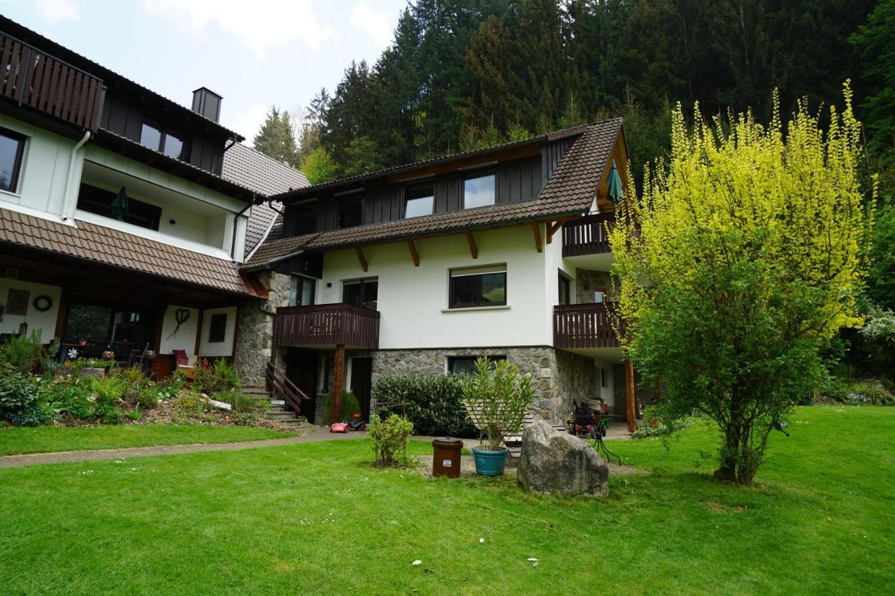 Hoellkopf - Stubenhof, Black Forest Simonswald Dış mekan fotoğraf